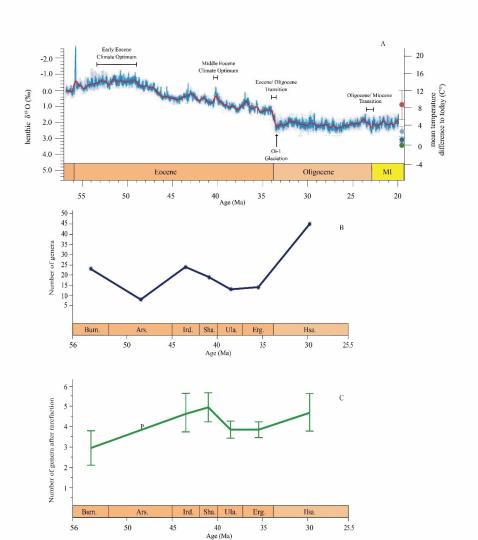 早始新世至早漸新世東亞嚙齒類(lèi)屬級(jí)多樣性變化。　中科院古脊椎所 供圖