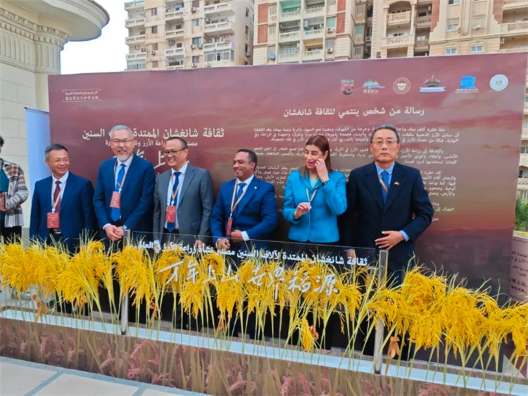 圖為現(xiàn)場(chǎng)嘉賓為特展啟幕。開(kāi)羅中國(guó)文化中心供圖