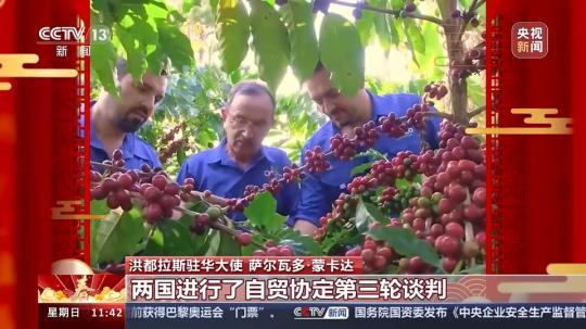 飽含美好祝愿與期待 洪都拉斯駐華大使：期待自己在中國度過的第一個春節