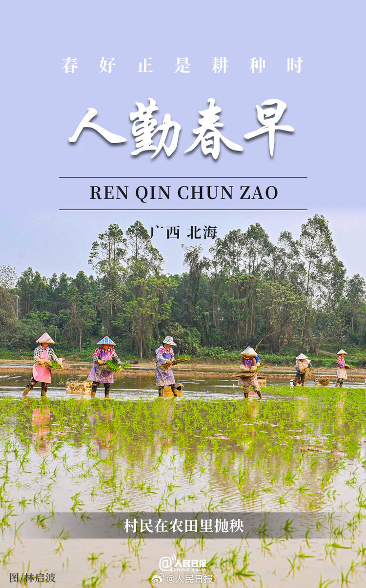 生機(jī)盎然！用課本封面打開(kāi)春耕畫卷