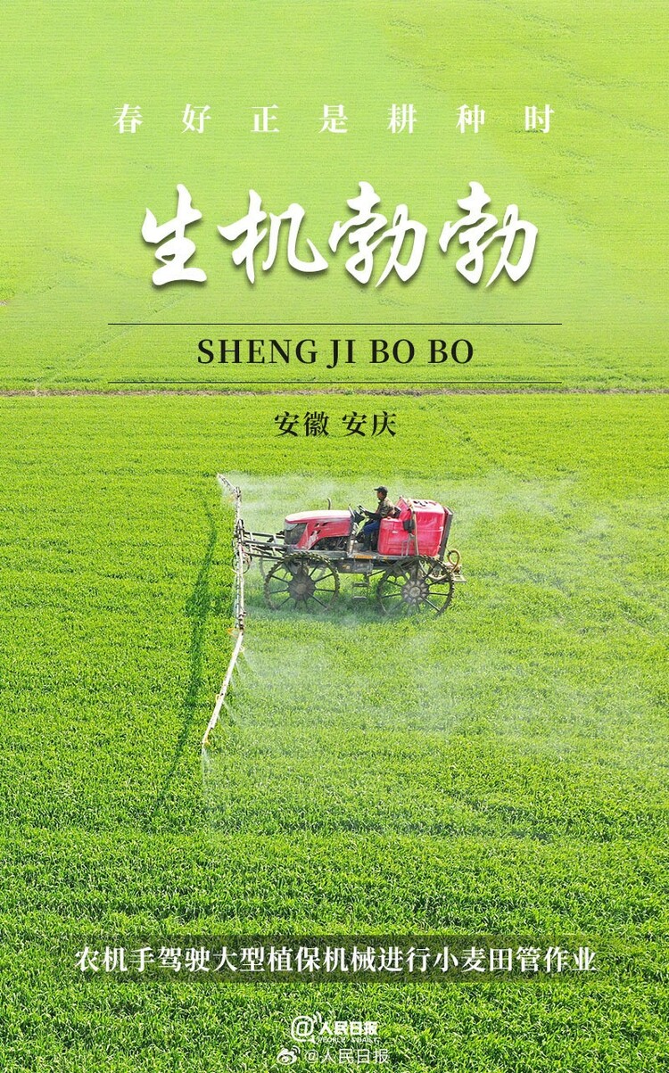 生機(jī)盎然！用課本封面打開(kāi)春耕畫卷