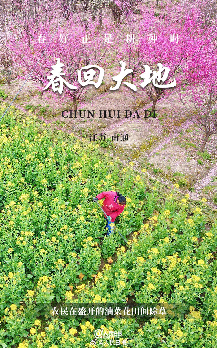 生機(jī)盎然！用課本封面打開(kāi)春耕畫卷