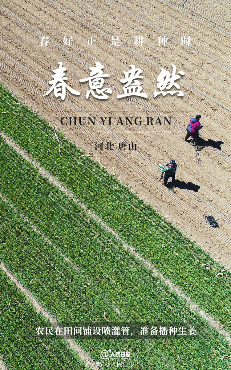 生機(jī)盎然！用課本封面打開(kāi)春耕畫卷