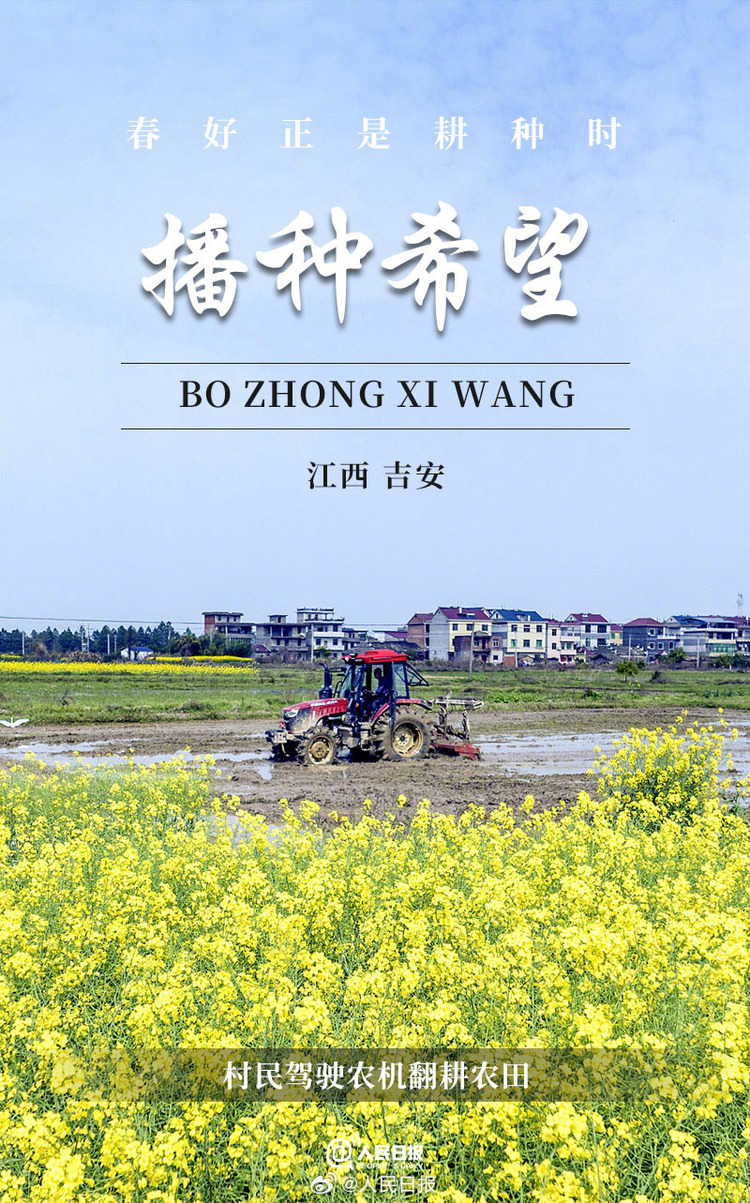生機(jī)盎然！用課本封面打開(kāi)春耕畫卷