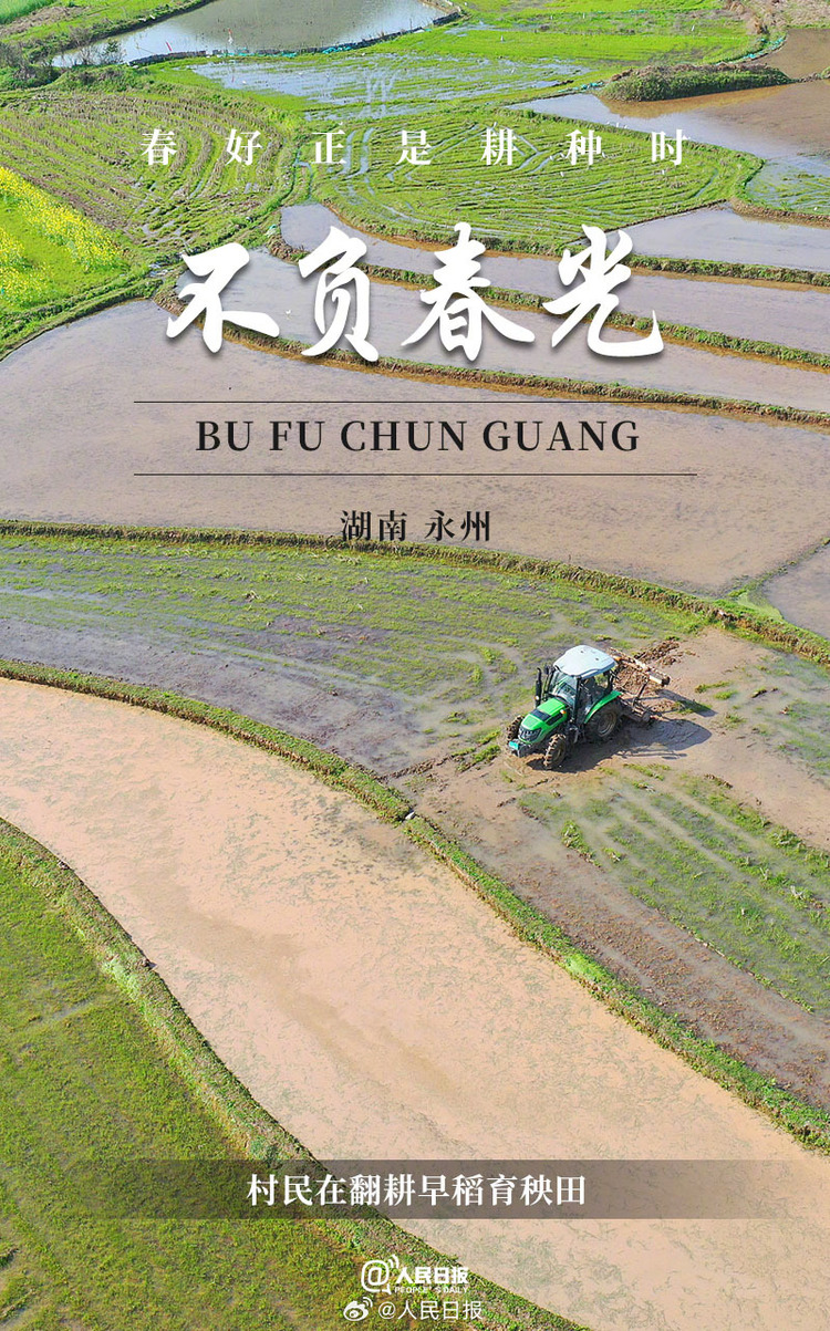 生機(jī)盎然！用課本封面打開(kāi)春耕畫卷