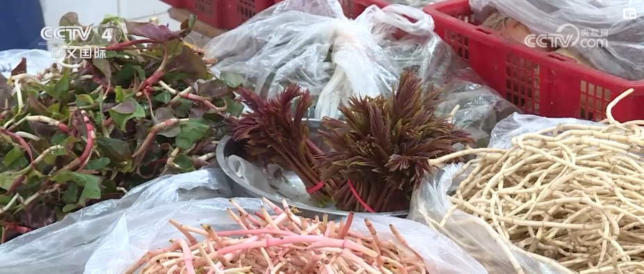 “春日經濟”熱力十足 “賞花+”融合煥新創造發展場景式消費新機遇