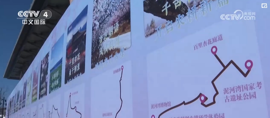 “春日經濟”熱力十足 “賞花+”融合煥新創造發展場景式消費新機遇