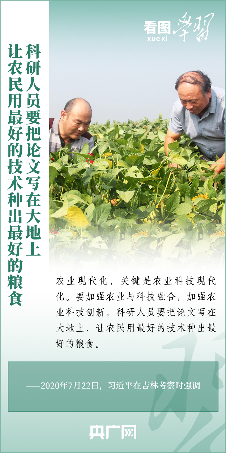 看圖學習丨推廣良田、良種、良法、良機 給農業現代化插上科技的翅膀