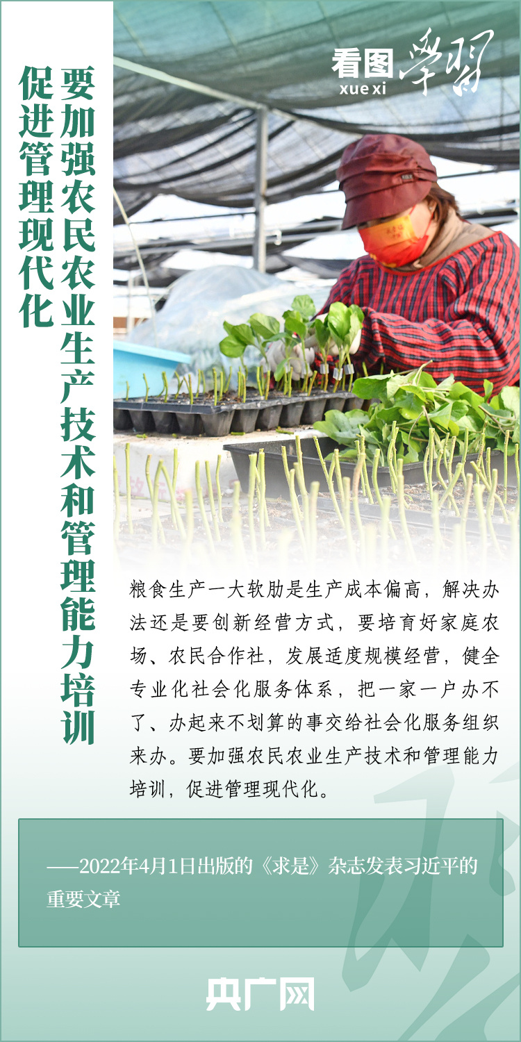 看圖學習丨推廣良田、良種、良法、良機 給農業現代化插上科技的翅膀
