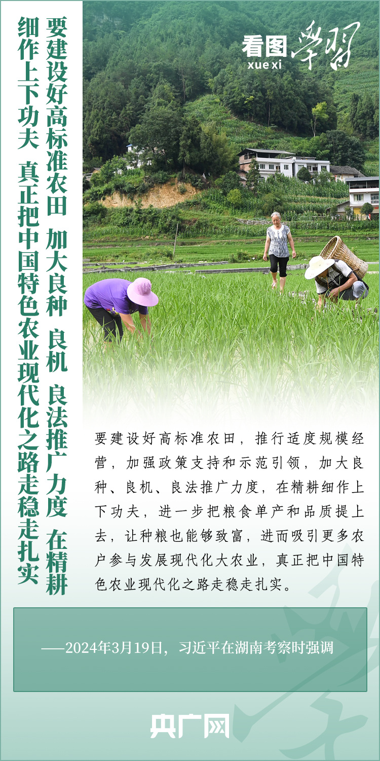 看圖學習丨推廣良田、良種、良法、良機 給農業現代化插上科技的翅膀