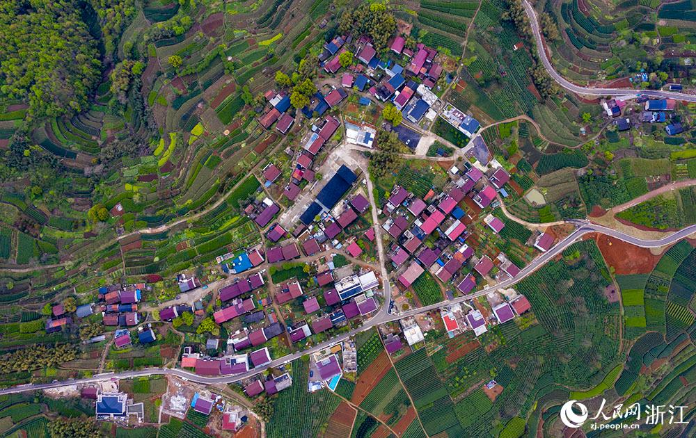 4月1日，紹興市新昌縣東茗鄉(xiāng)下巖貝村風(fēng)光秀麗，茶園旖旎。人民網(wǎng) 章勇濤攝