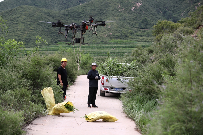 在石家莊市井陘縣吳家窯鄉(xiāng)長峪村荒山造林現(xiàn)場，一名無人機(jī)手操控?zé)o人機(jī)運(yùn)輸樹苗。王保龍攝