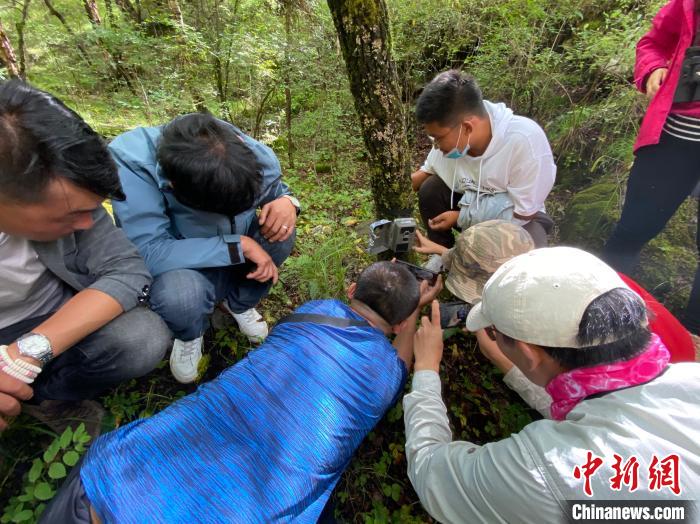 圖為訪客正在查看紅外相機中的拍攝畫面?！±罱瓕?攝