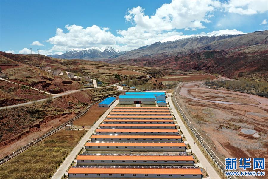 (決戰決勝脫貧攻堅·圖文互動)(4)“阿旺綿羊”成就大產業——西藏貢覺縣做大做強扶貧產業見聞