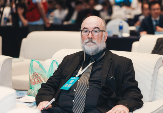 巴西專家：金磚合作是發(fā)展中國家在政治和經濟上進行協(xié)調合作的最佳方案