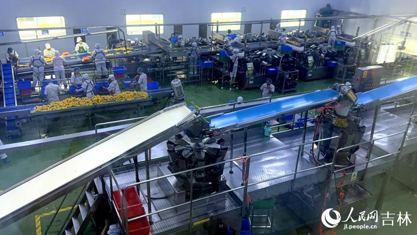 吉林省農嫂食品有限公司生產車間內一片火熱。人民網記者 王海躍攝
