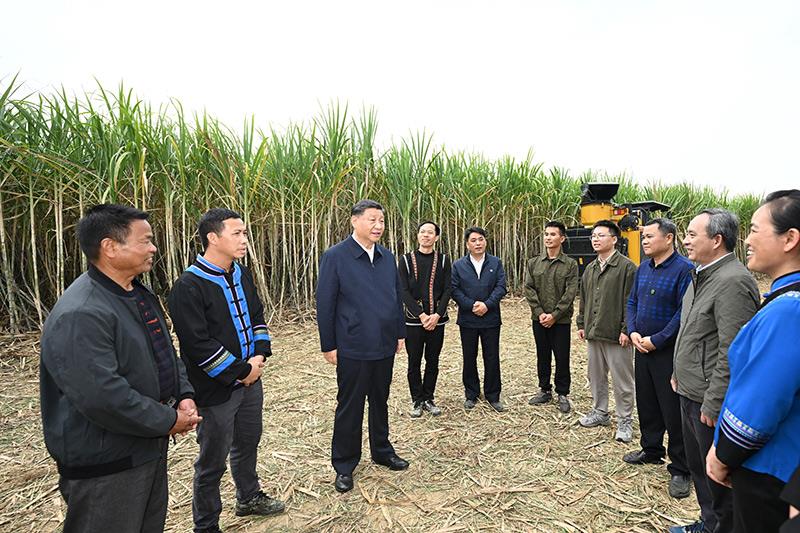 追光的你丨勞動創造幸福未來