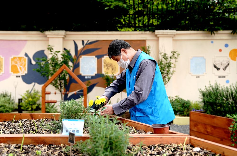 上海市長寧區虹旭小區居民在整理改造社區花園。居民們把堆肥箱里發酵出來的“綠色材料”和土壤拌在一起鋪在種植箱中（2020年4月22日攝）。新華社記者 張建松 攝