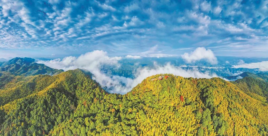 　三明森林生態(tài)環(huán)境優(yōu)美。