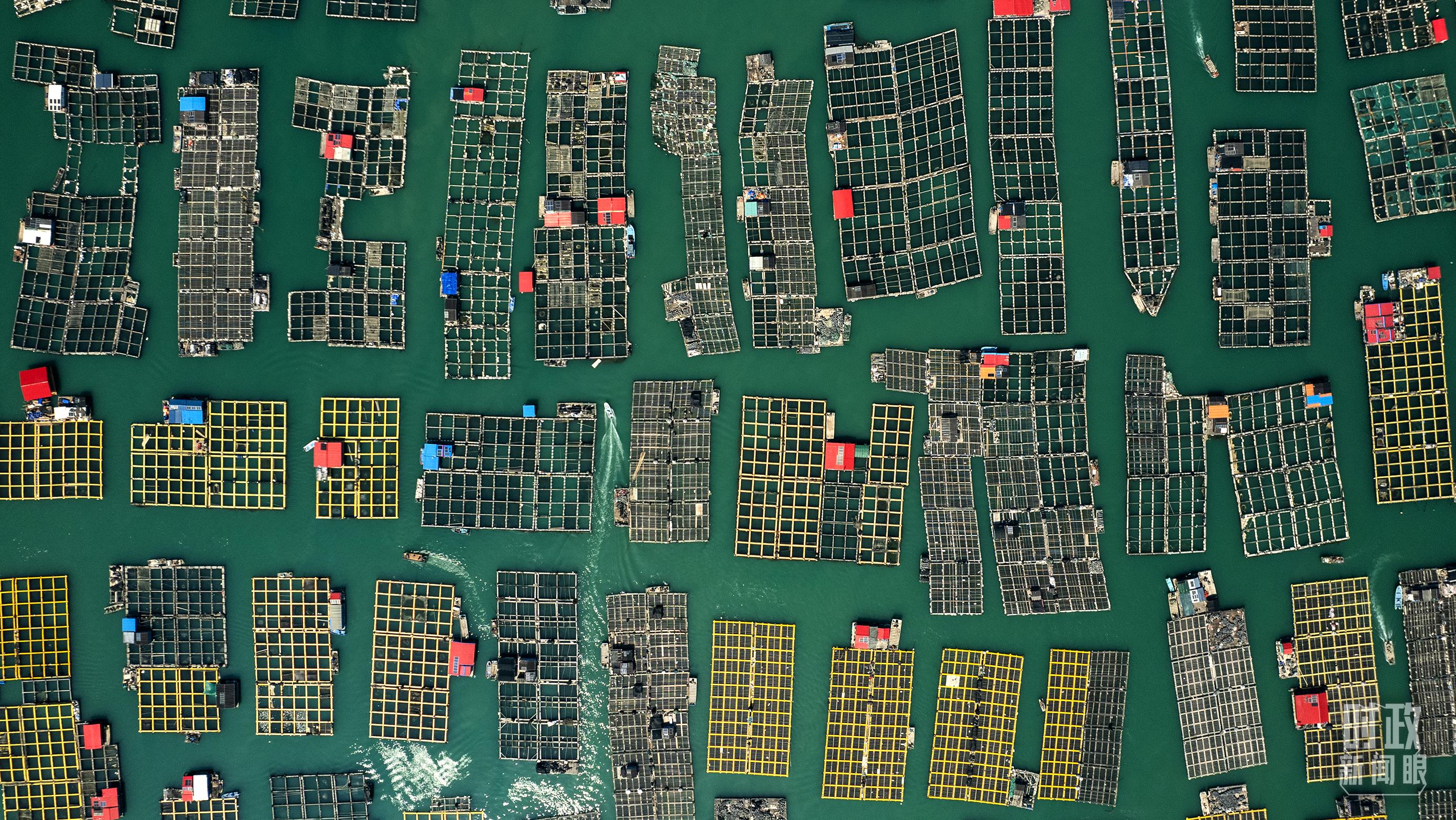 △澳角村。（總臺記者李晉拍攝）