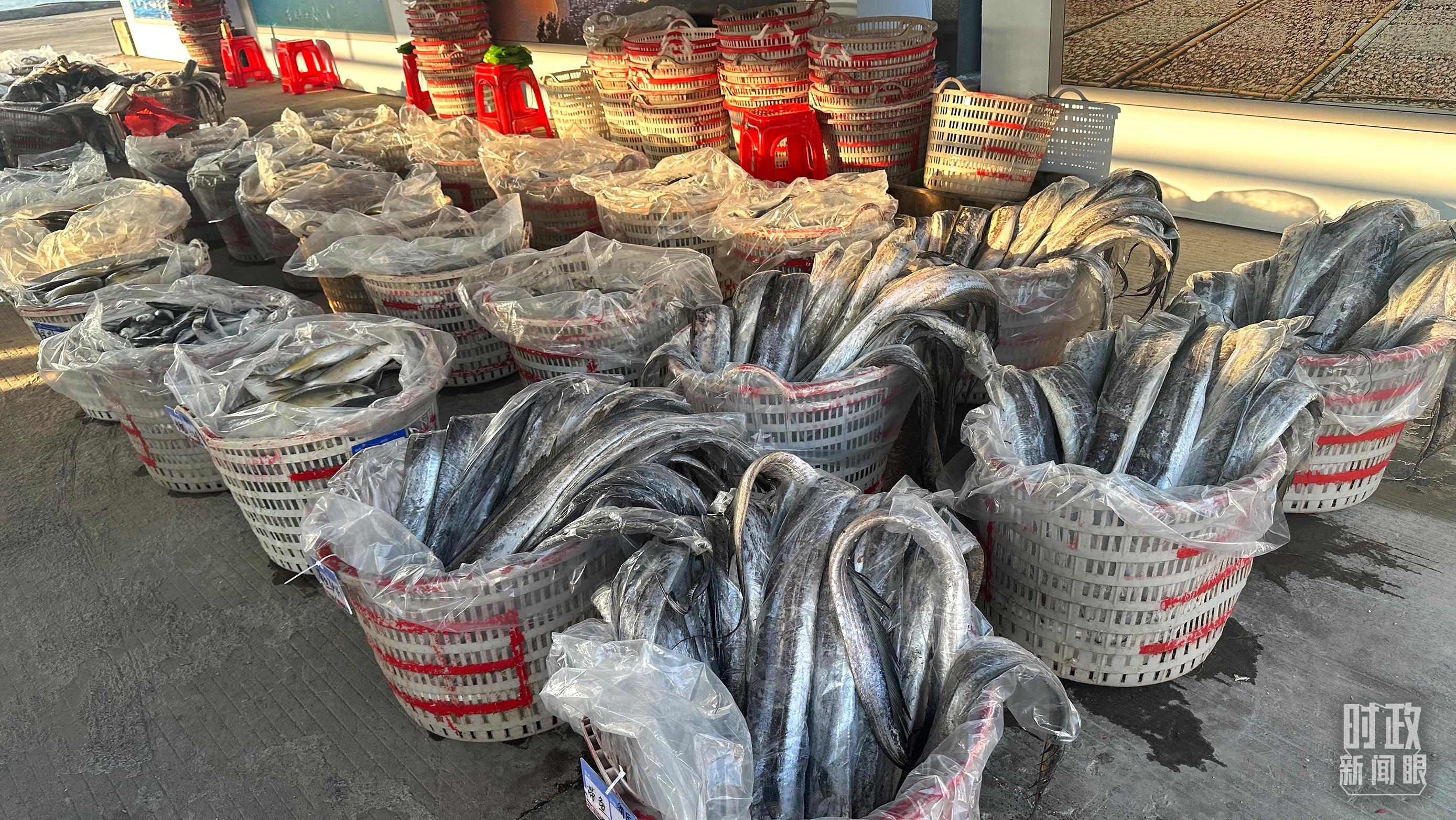 △澳角村的海產品。（總臺央視記者覃思拍攝）