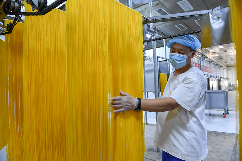 2024年1月25日，在吉林省公主嶺市的一家公司車間，工人查看玉米面條生產情況。