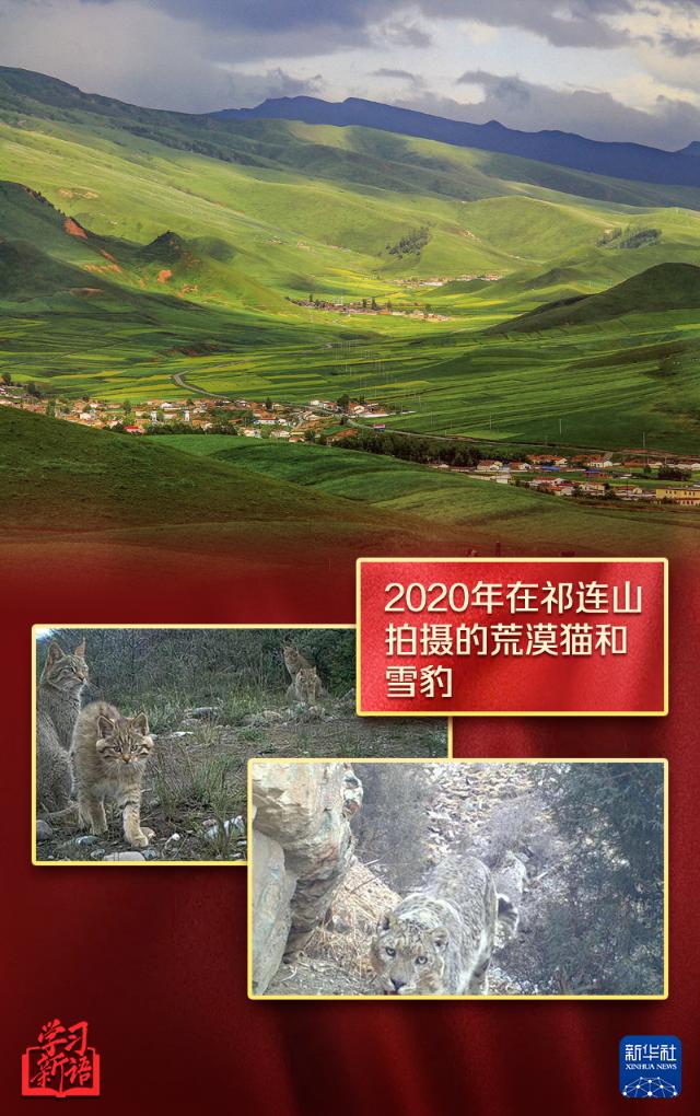 學習新語丨越來越好