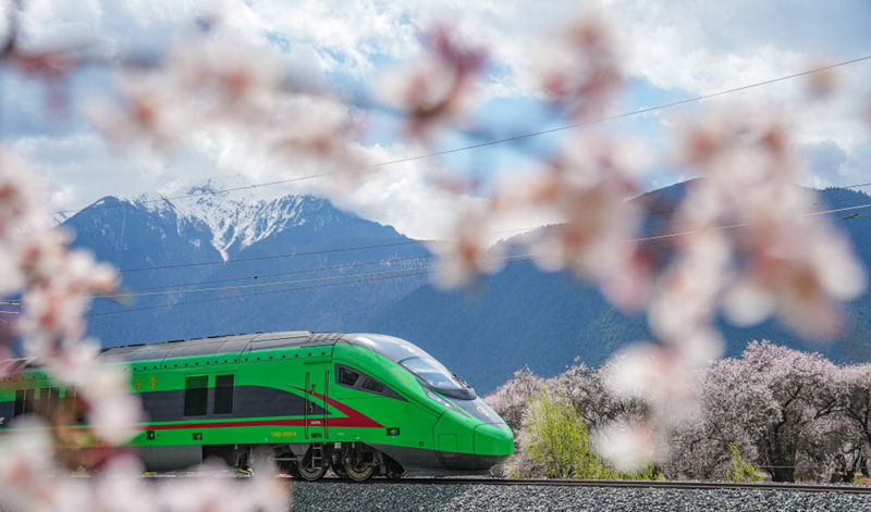 2025年4月2日，復(fù)興號(hào)列車穿行在拉林鐵路林芝段。