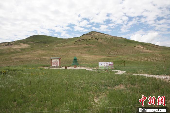 四川省阿壩州若爾蓋縣草原沙化治理后。若爾蓋縣林業和草原局供圖