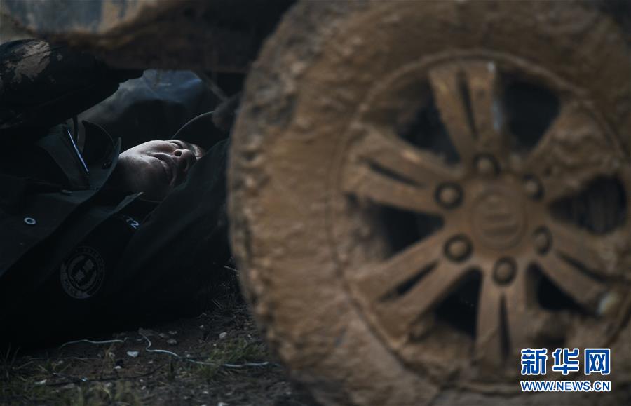 （圖文互動）（8）記者手記：可可西里，“挪”向“藏羚羊大產(chǎn)房”的14個半小時