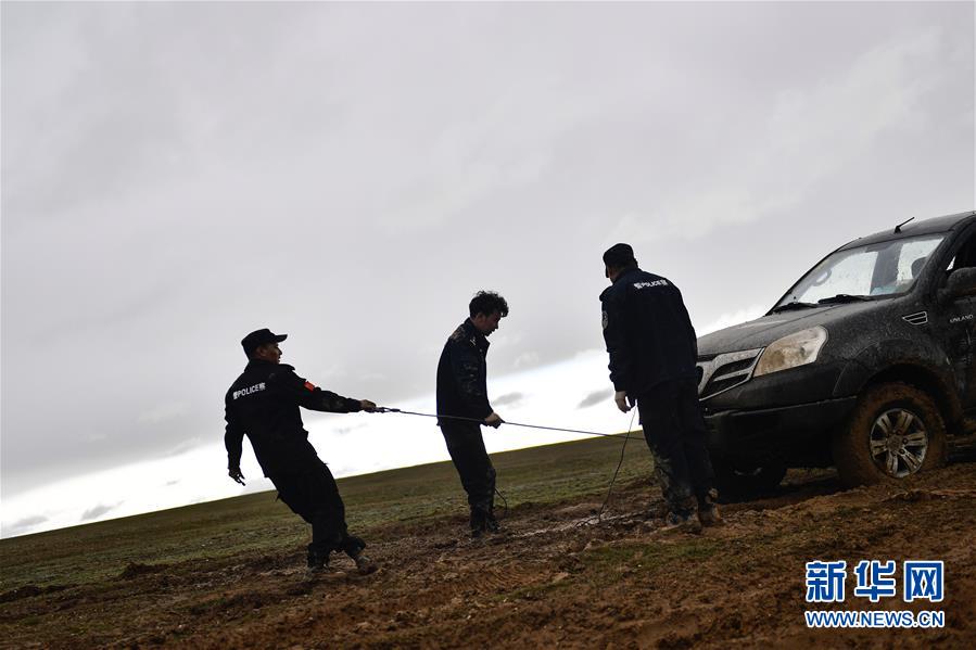 （圖文互動）（10）記者手記：可可西里，“挪”向“藏羚羊大產(chǎn)房”的14個半小時