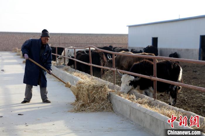 柴達木盆地蓮湖村：讓致富村民生活“?！逼饋?/></a></div>
                        <div   id=
