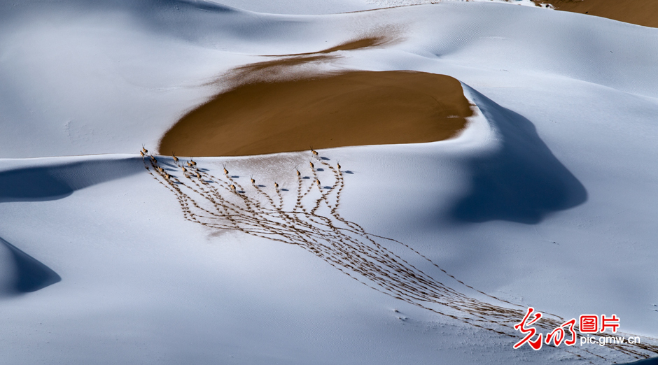 三江源國家公園正式設立，這是青海生態文明建設的新答卷