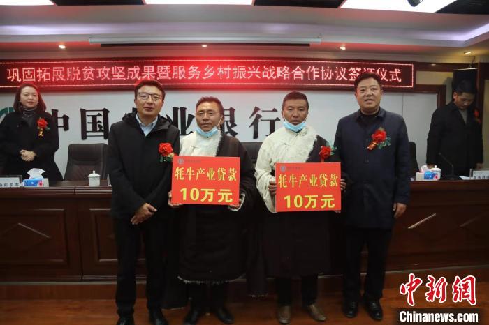 農行西藏分行推出“牦牛產業貸”助力西藏畜牧業發展