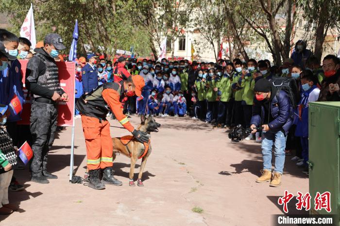 圖為搜救犬服從和箱體搜救演練?！≮w琳 攝