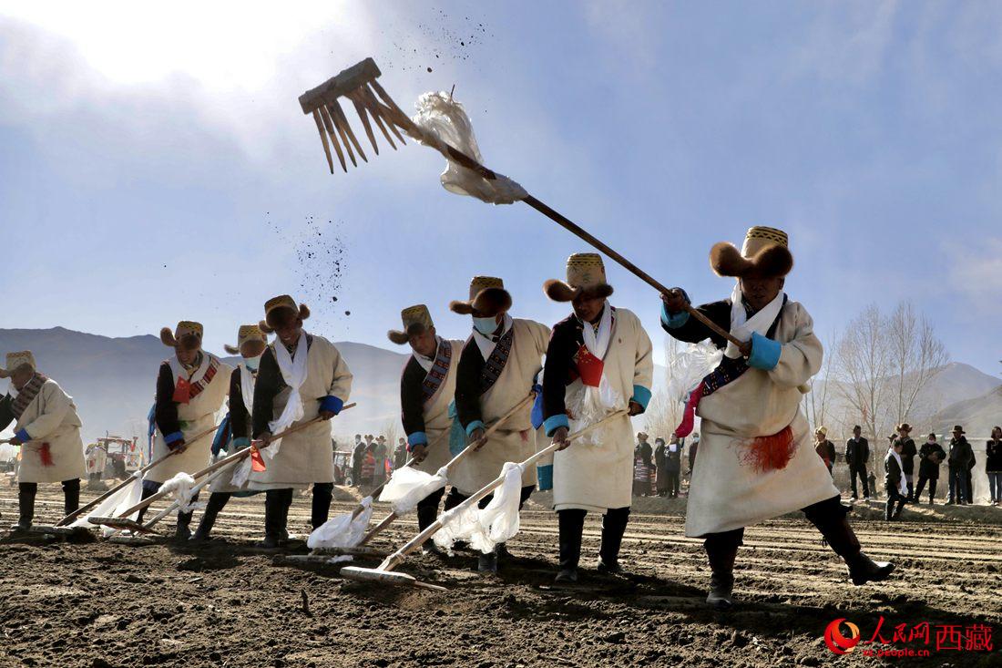 當?shù)卮迕裆碇?jié)日盛裝，舉行春耕儀式。人民網(wǎng) 次仁羅布攝