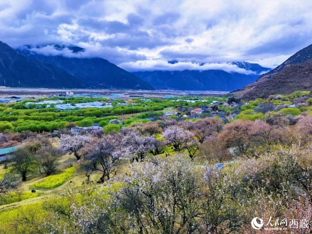 桃花從中的“童話小鎮”。人民網 李海霞攝