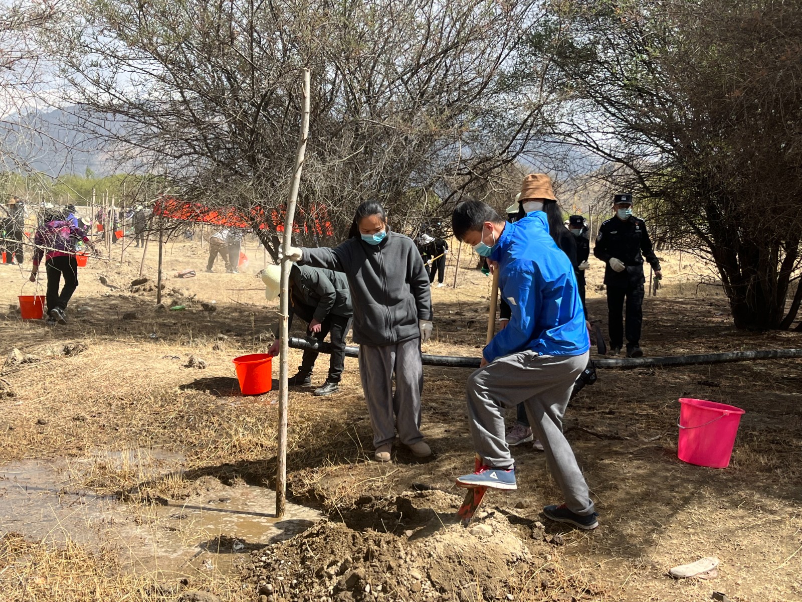 植樹現場，大家分工明確，配合默契(2000565)-20220420090303.jpg