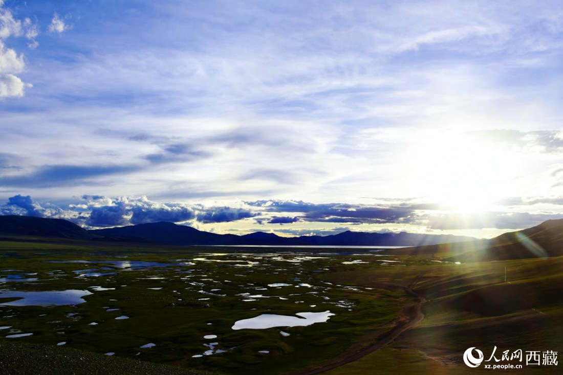 七月的羌塘草原處處是景。人民網 李海霞攝