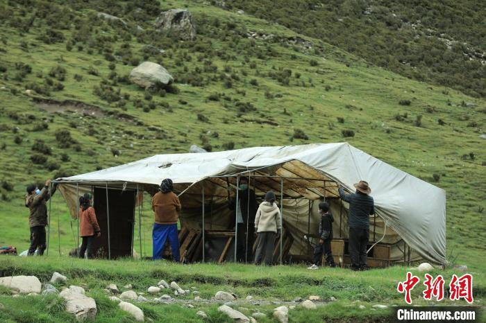 圖為牧民們在秋季牧場搭建帳篷。 洛克 攝