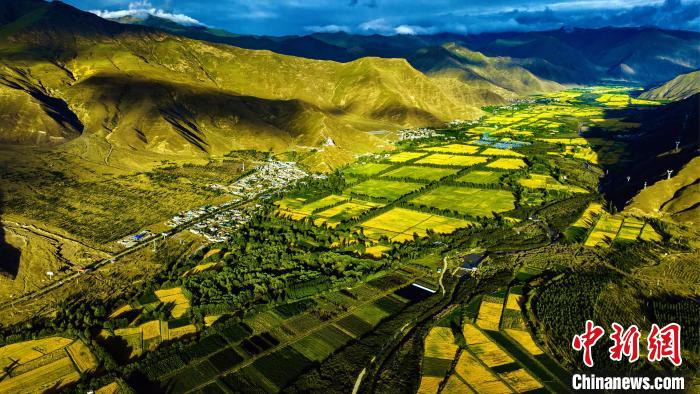 圖為山南雍布拉康附近農田。　張巍 攝