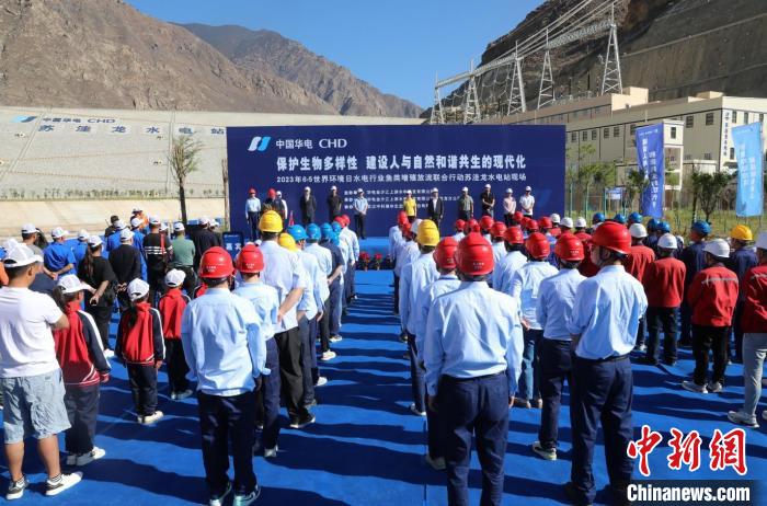 圖為蘇洼龍水電站魚類放流現場。 蘇洼龍水電站供圖