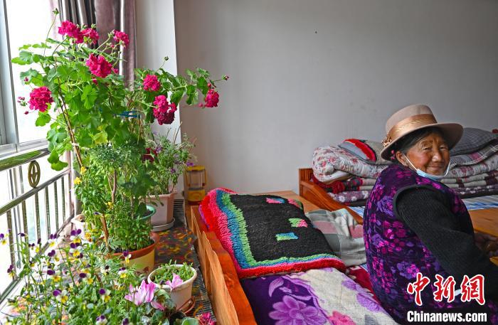 圖為曲松縣特困人員集中供養(yǎng)中心老人德吉卓嘎與她的花。 趙朗 攝