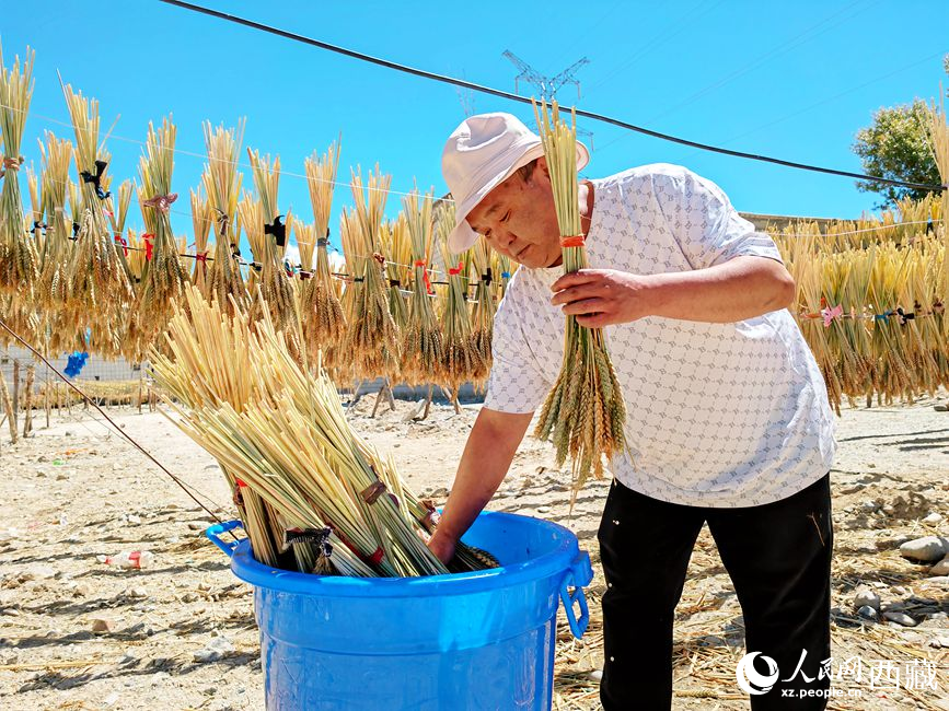幸福生活曬出來。人民網 李海霞攝